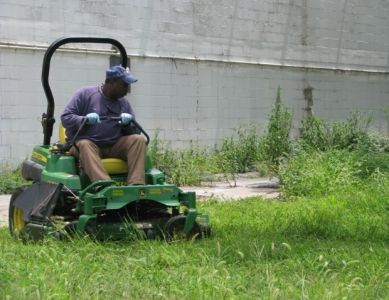 Paul Cutting Grass1